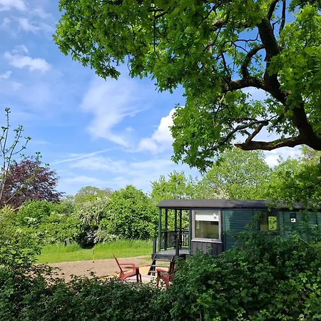 Roulotte - Tiny House De La Ferme De La Cheveche אתר קמפינג